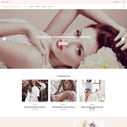 Buzz Premium Wordpress Theme for personal blogs and magazine websites 