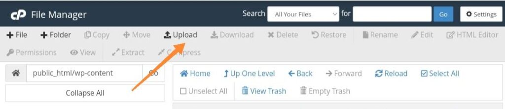 Install Theme in WordPress Manually - 2 Ways Free Guide 3 file upload button in cpanel optimized